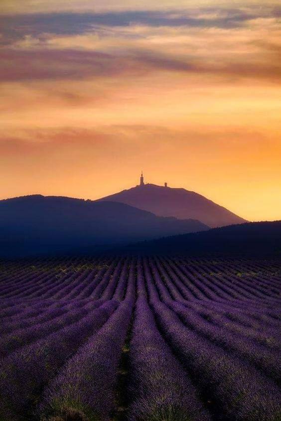 Chambres Entre Ventoux Et Luberon Sault-de-Vaucluse Exterior photo